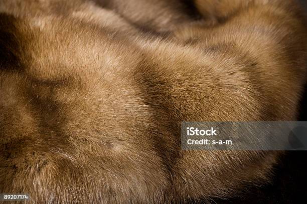 Luxury Fur Stock Photo - Download Image Now - Fur Coat, Brown, Mink - Animal