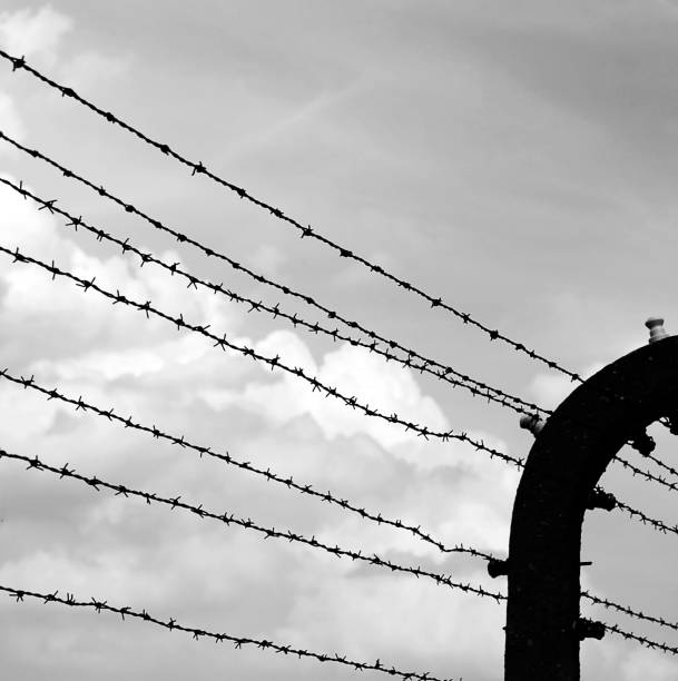 barbed wire with black and white effect - holocausto imagens e fotografias de stock