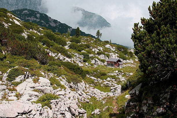 alpen-steineres meer & almhütte an der grenze deutschland/österreich (австрия - wanderurlaub стоковые фото и изображения