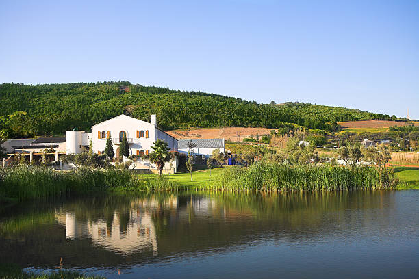 istock Fairview wine farm in South Africa 89207658