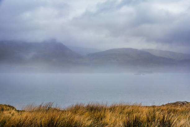 istock Sheep's Head Peninsular on the Wild Atlantic Way, Ireland 892076920