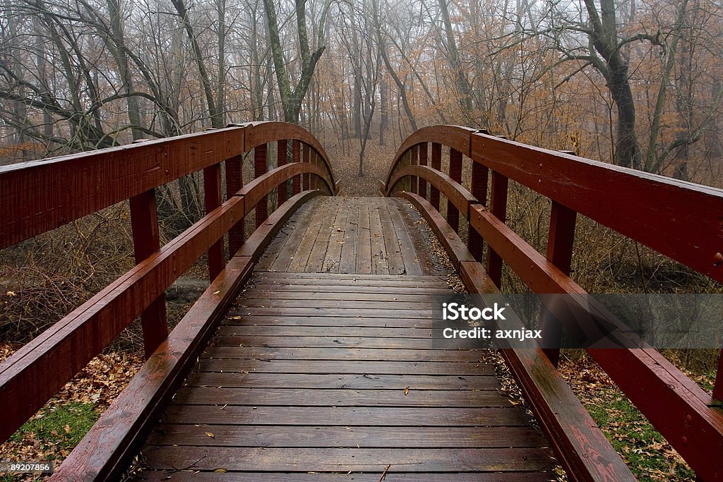 red ponte de passeio - Foto de stock de Bosque - Floresta royalty-free