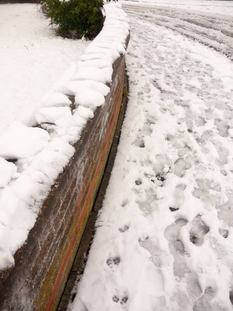 istock snow on brick wall and footpath with foot prints winter 892080248