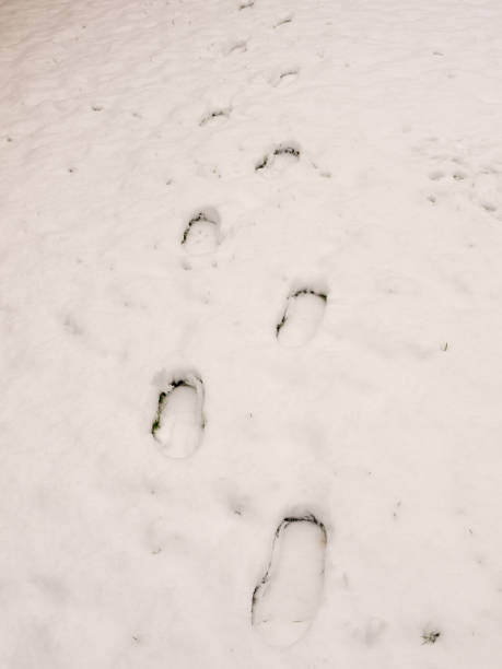 istock footprints in the snow background behind floor garden 892080498