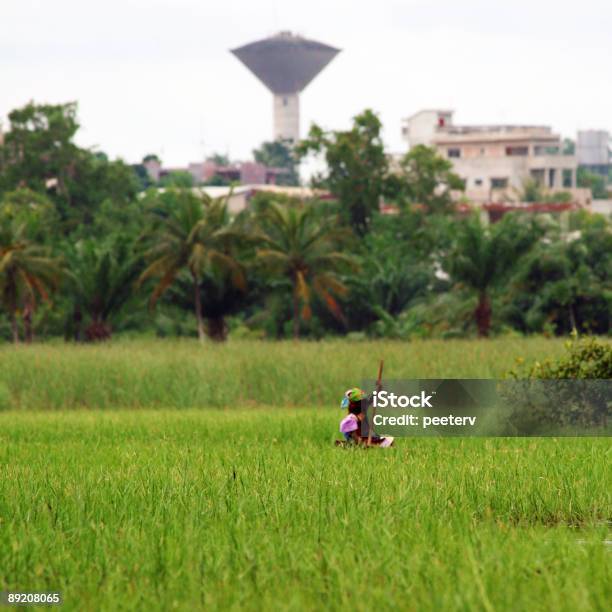 Lagoonszene Stockfoto und mehr Bilder von Afrika - Afrika, Afrikanische Kultur, Benin