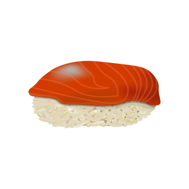연어색 스시 초밥 - sushi nigiri white background red stock illustrations