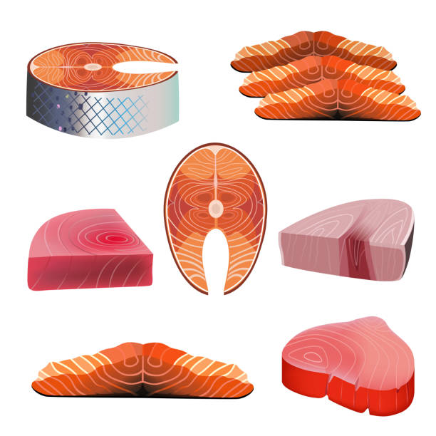 연어와 참치 고기 - marlin prepared fish sushi raw stock illustrations