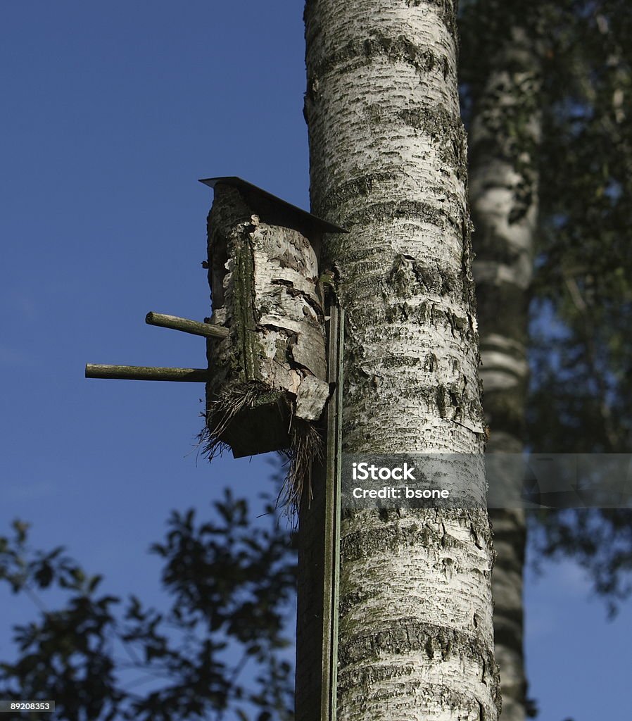 Птица дерево Дом - Стоковые фото Абстрактный роялти-фри