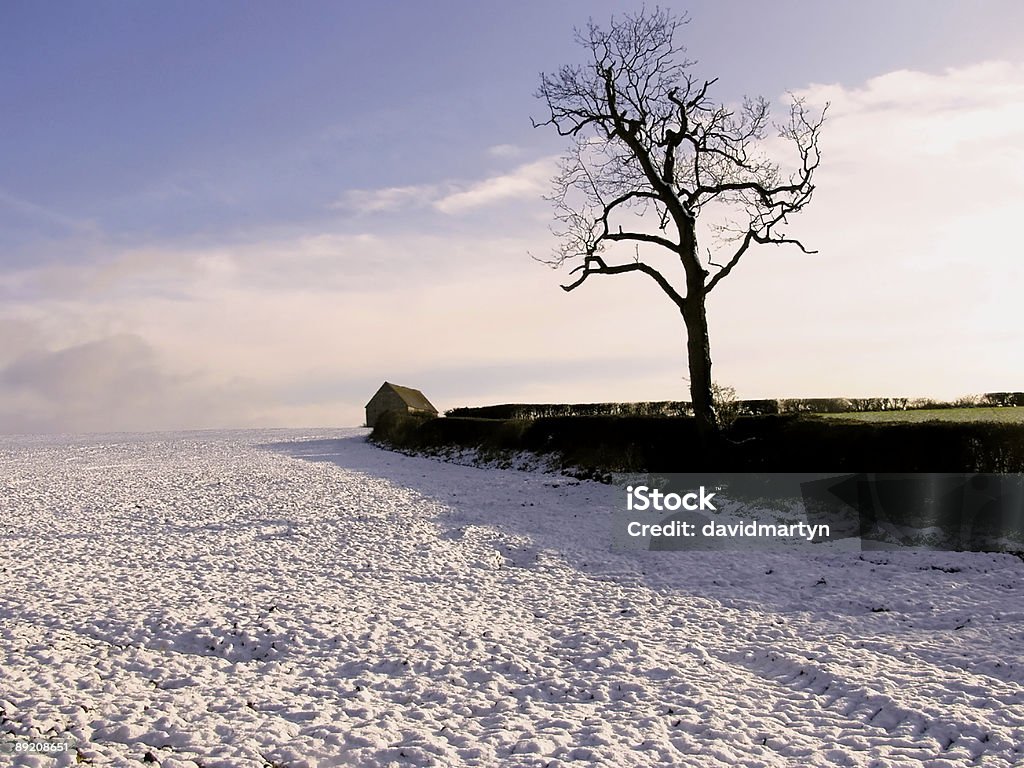 winter-Landschaft - Lizenzfrei Hecke Stock-Foto