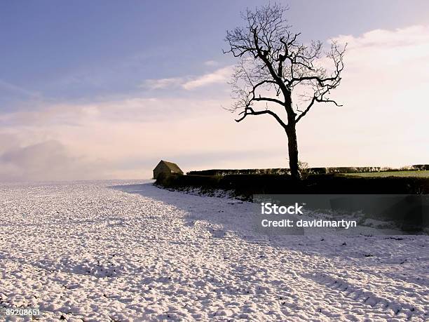 Winterlandschaft Stockfoto und mehr Bilder von Hecke - Hecke, Schnee, Agrarbetrieb