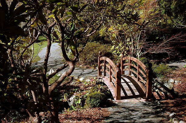 Stock photo showing a beautiful, ornamental garden with a white, decorative wooden bridge crossing a pond with a water surface covered in pond weed.