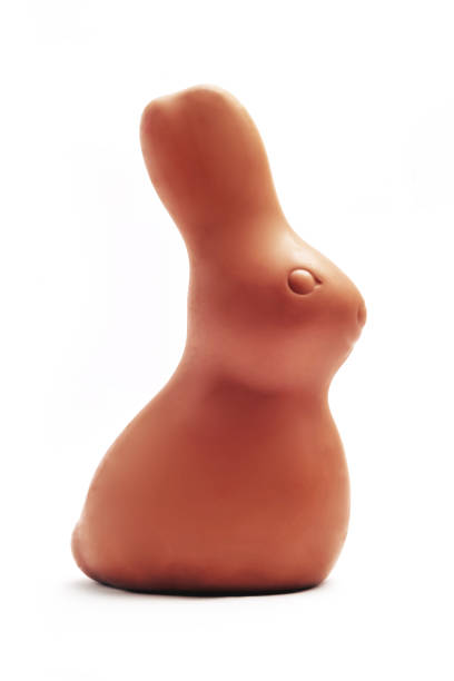 Chocolate Easter bunny stock photo