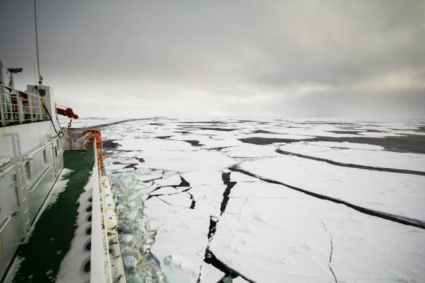 Cruising in frozen ocean stock photo