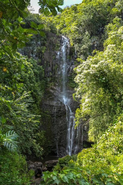 istock Tall waterfall on road to Hana, Maui, Hawaii 892095868