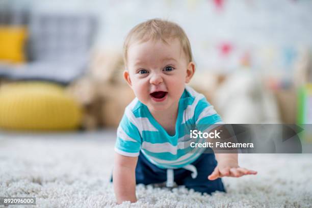 Baby Learning To Crawl Stock Photo - Download Image Now - Baby - Human Age, Crawling, Child