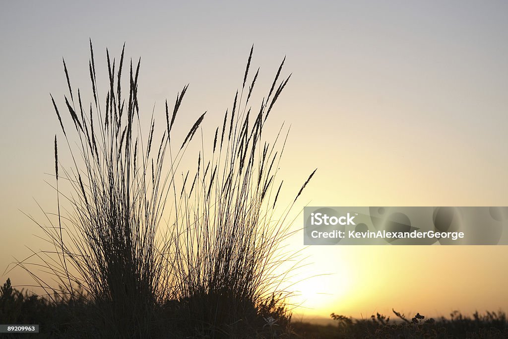 Puesta del Sol - Foto stock royalty-free di Algarve