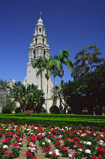 istock Flowers in Balboa Park, San Diego 89210006