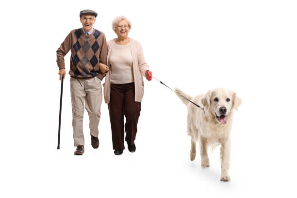 istock Senior couple walking a dog 892104654