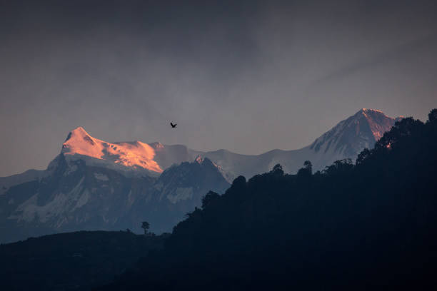 istock Eagles flying with Himalaya mountains in background. Nepal. 892109208