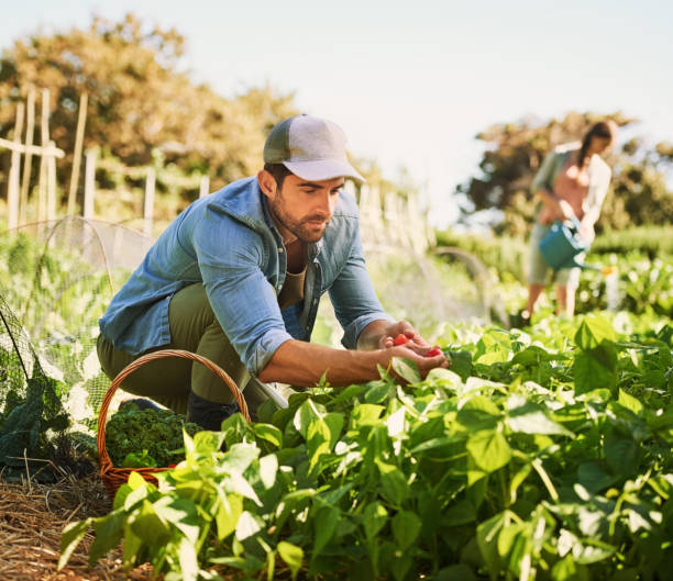 istock Sow it and you'll grow it 892111950
