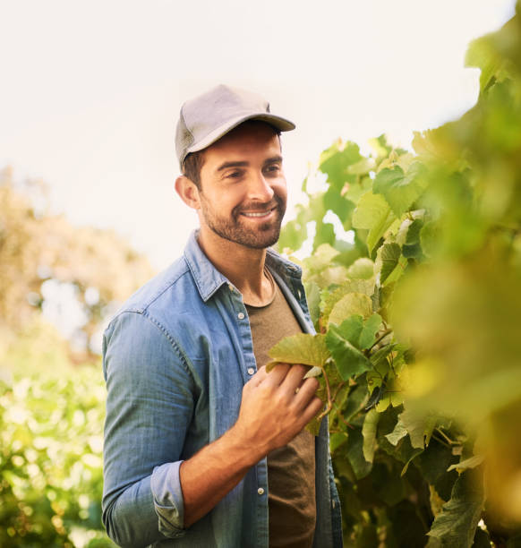 istock Healthy and ready to harvest 892113890