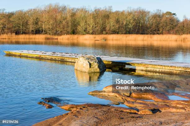 Boulder Beside Pier Stock Photo - Download Image Now - Autumn, Baltic Sea, Bare Tree