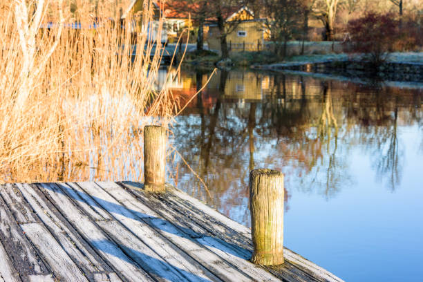 istock Wooden bollards on pier 892115016