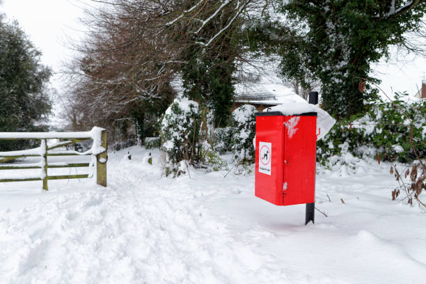 istock Red dog-waste bin covered in snow 892115418