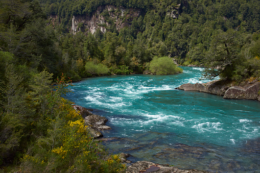 River Futaleufu flowing through a forested valley in the Region of southern Chile. The river is renowned as one of the premier locations in the world for white water rafting.