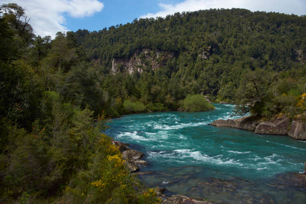 River Futaleufu flowing through a forested valley in the Region of southern Chile. The river is renowned as one of the premier locations in the world for white water rafting.