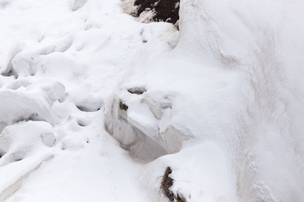 istock Glacier in nature in winter 892126250