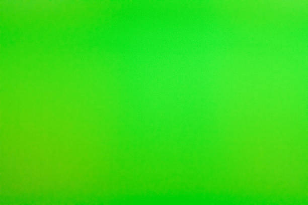 vegetación - fondo croma verde fotografías e imágenes de stock