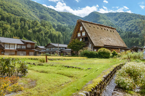 miejsce wpisane na listę światowego dziedzictwa unesco shirakawago - spring organization nature field zdjęcia i obrazy z banku zdjęć