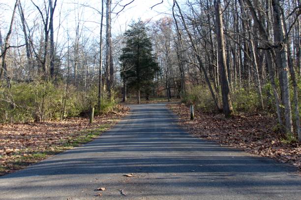 istock Autumn Park Road 892147898