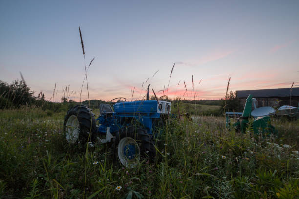 vibrant blue tractor left to the elements in an overgrown feild