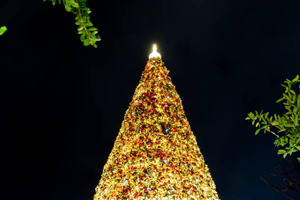 istock Big christmas decorated pine tree close up, white lights. 892171086