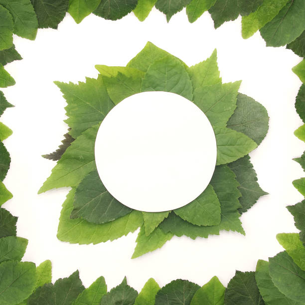 istock Background of green leaves with a paper 892184098