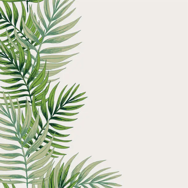 Vector illustration of Tropical Plants Leaves Background