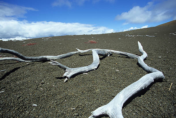 istock Hawaii Volcanic National Park 89219293