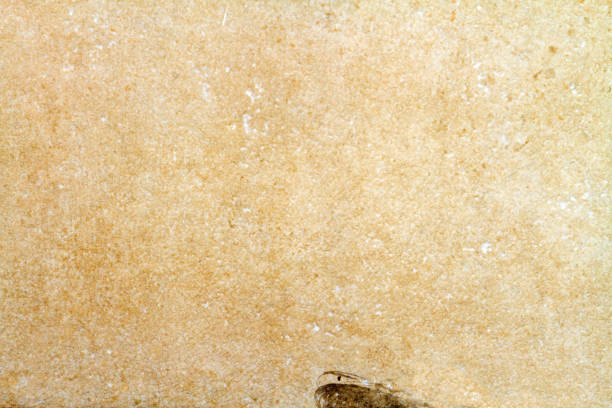 Cream concreted wall for interiors or outdoor exposed surface polished concrete. Cement have sand and stone of tone vintage, natural patterns old antique, design art work floor texture background.