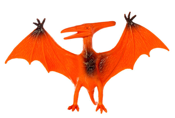 istock Pterosaur dinosaurs toy isolated on white background ,with clipping path 892193602