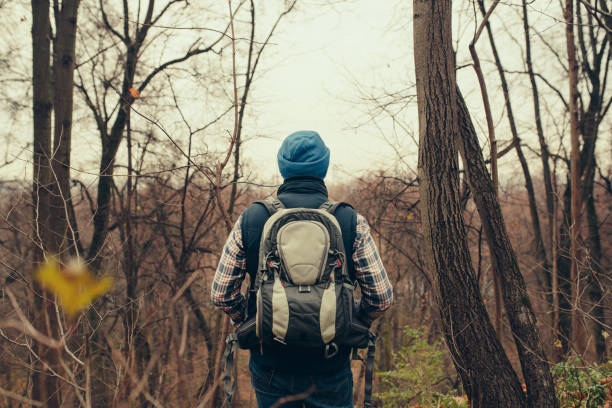 istock Traveler walking alone in the forest 892196720