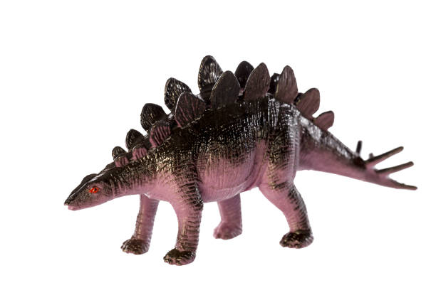istock Stegosaurus dinosaurs toy isolated on white background ,with clipping path 892197158