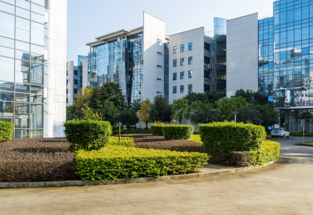 istock The city central park is in chongqing ,china 892197254