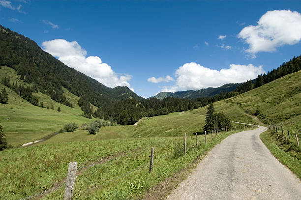 Rural Road stock photo