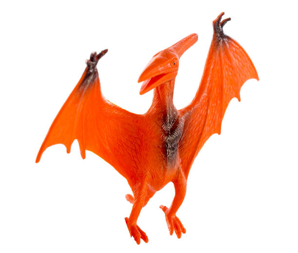 istock Pterosaur dinosaurs toy isolated on white background ,with clipping path 892204226