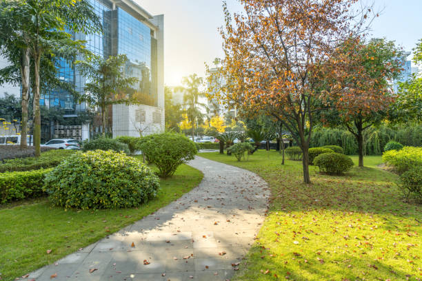 die stadt der central park ist in chongqing, china - büropark stock-fotos und bilder