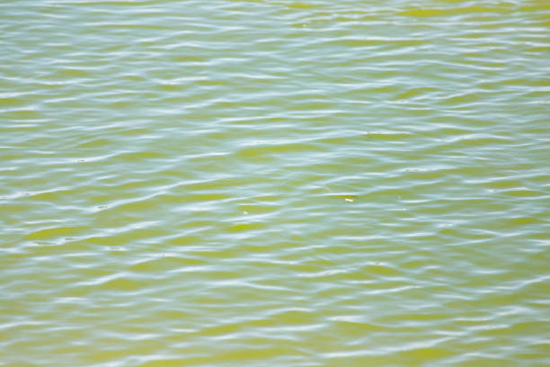 istock smooth surface of the water as a background 892207216