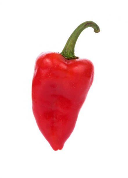 istock Pile of red paprika isolated on white background 892207666
