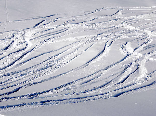 Traces in the snow  mickey mantle stock pictures, royalty-free photos & images